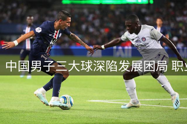中国男子三大球深陷发展困局 职业化改革为何适得其反？