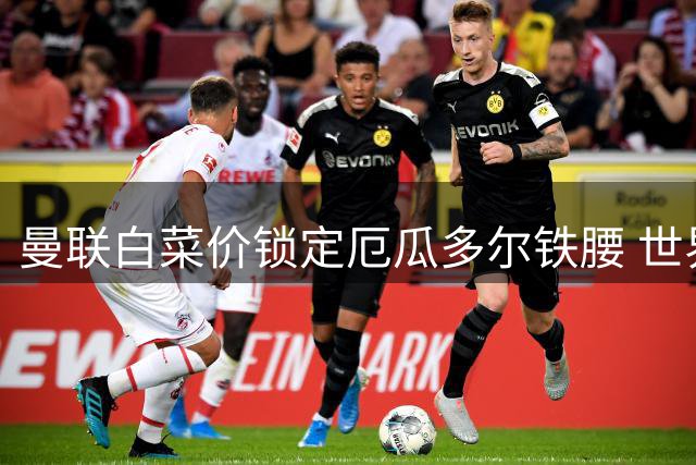 曼联白菜价锁定厄瓜多尔铁腰 世界杯黑马或成今夏最佳引援