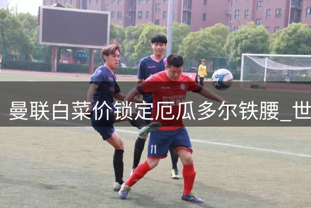 曼联白菜价锁定厄瓜多尔铁腰 世界杯黑马或成今夏最佳引援