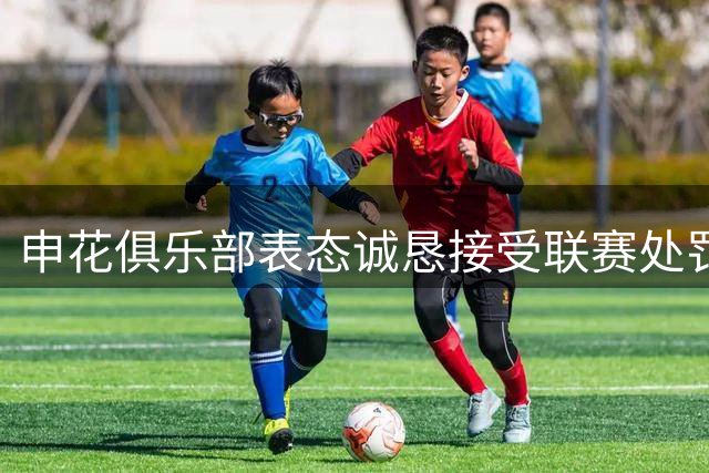 申花俱乐部表态诚恳接受联赛处罚 呼吁球迷维护赛场文明