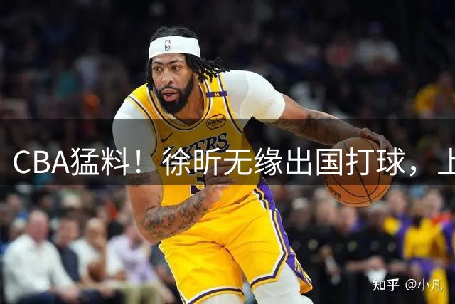 CBA猛料！徐昕无缘出国打球，上海男篮三名球员离队，山东男篮留下谢智杰
